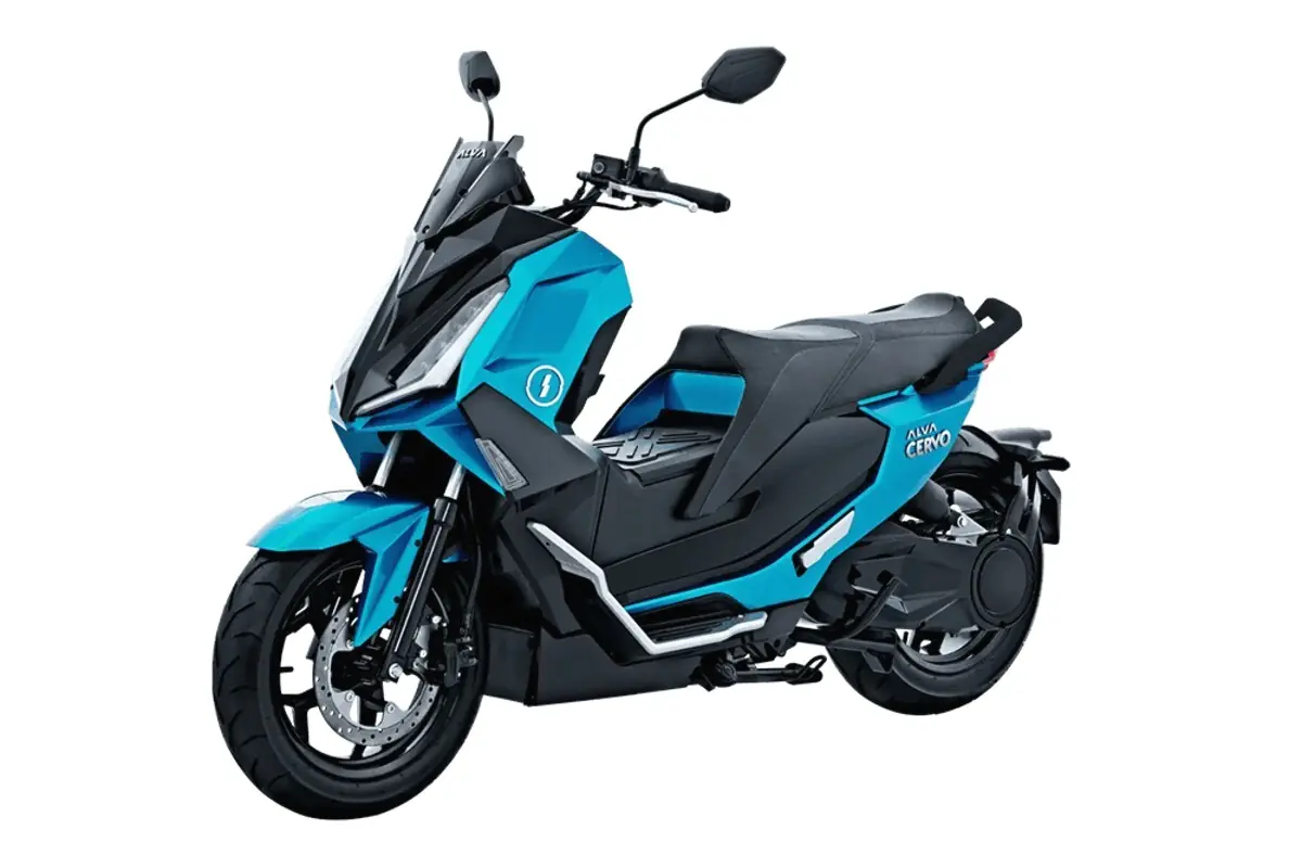 Harga alva cervo di shopee